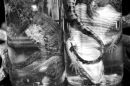Casamance 7